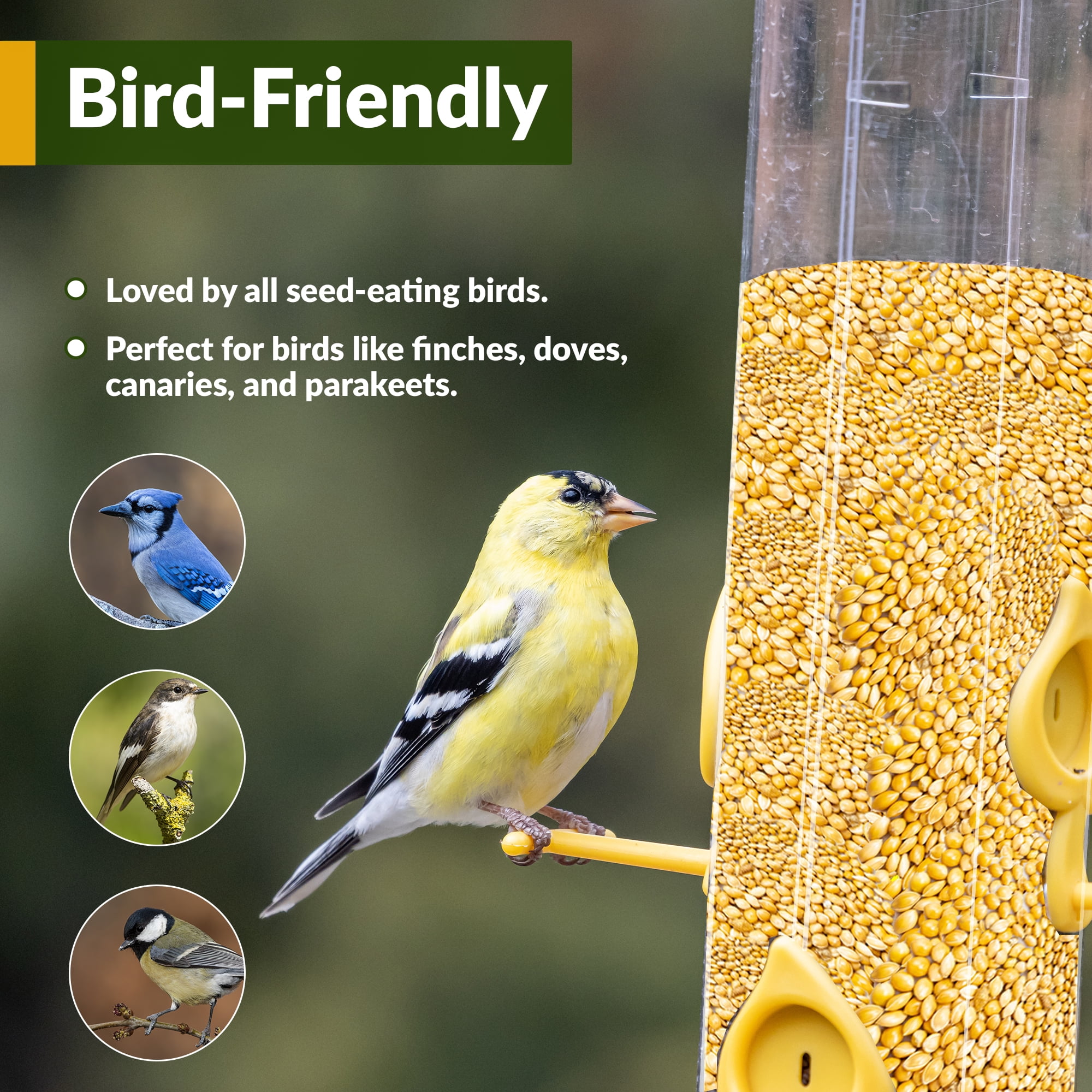 Old Potters Wildlife White Millet Attracts Birds and Wildlife – Non-GMO, Gluten-Free, Nutrient-Rich Bird Seed Mix 25 LBS