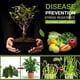 thumbnail image 4 of Agente Microbiano Promover La Planta Enraizamiento para Prevenir El Endurecimiento Crecimiento Las Plantas Flores, 4 of 5