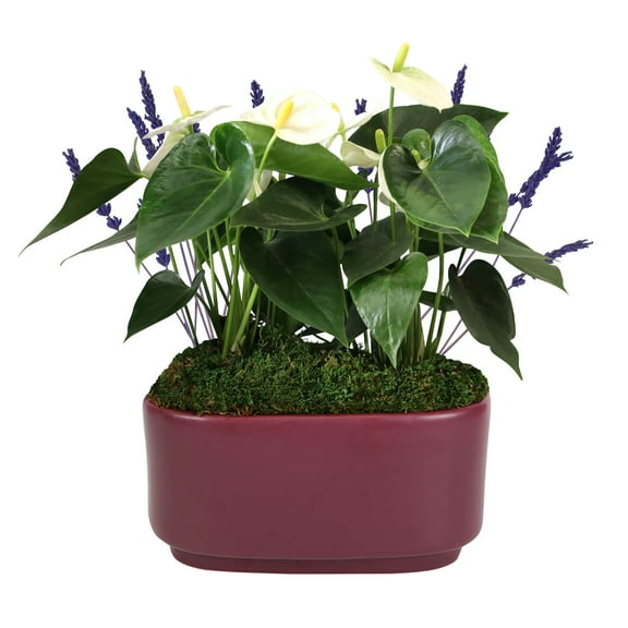 10IN White Anthurium Planter with Lavender – Dark Purple Pot