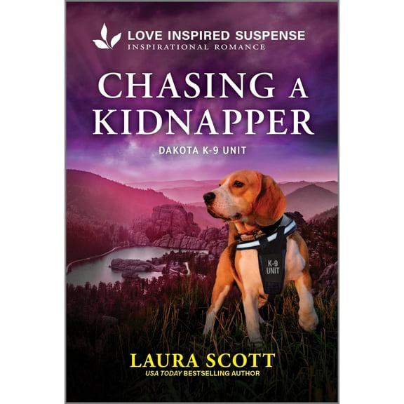 Chasing a Kidnapper (Paperback)