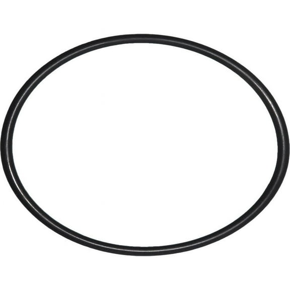 American Plumber W10-OR 152032 O-Ring For Heavy Duty Filter