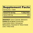 Spring Valley Calcium Bone Health Dietary Supplement Tablets, 600 mg