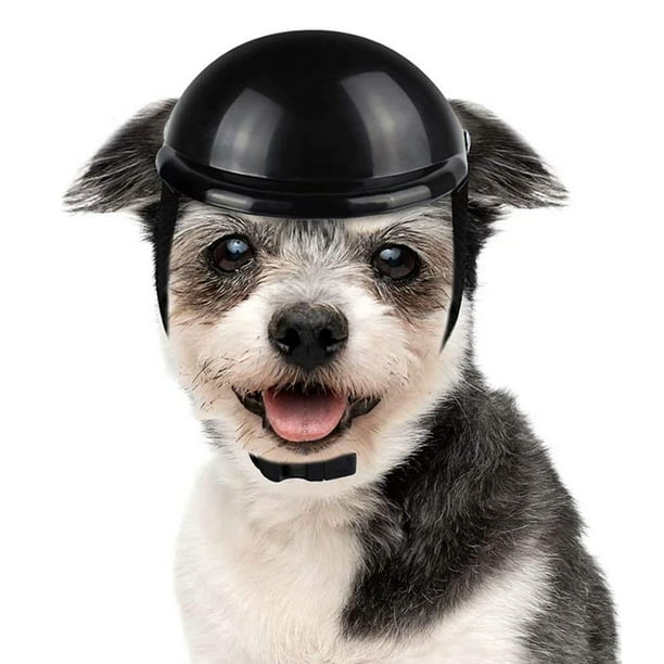 Bumper hats for store blind dogs