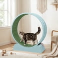 thumbnail image 4 of UBesGoo 31in Cat Exercise Wheel, Safe PP Treadmill with Green Mat & Free Teaser Wand, Light Blue, 4 of 13