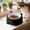 Black, variant on Large Capacity Elevated Cat Bowl with Wide Shallow Design - 250ml Plastic Pet Food & Water Dish for Comfortable Feeding & Neck Support | 1 Piece