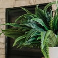 thumbnail image 4 of CQURE 42-Inch Artificial Boston Fern Plants, 48 Fronds Realistic Fake Bushes for Indoor & Outdoor Decor, 2 Pack, 4 of 9
