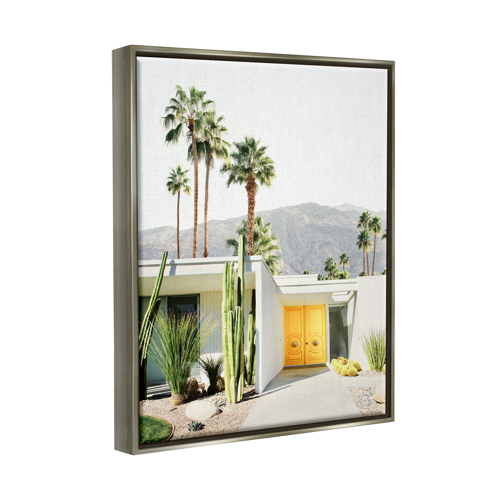 Stupell Industries Palm Springs House Photography Botanical & Floral Photography Gray Floater Framed Art Print Wall Art, 25 x 31