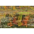 thumbnail image 2 of Grandmaison, Mike 24x17 Black Ornate Wood Framed with Double Matting Museum Art Print Titled - Canada, Minden Reflection of autumn  in pond, 2 of 4