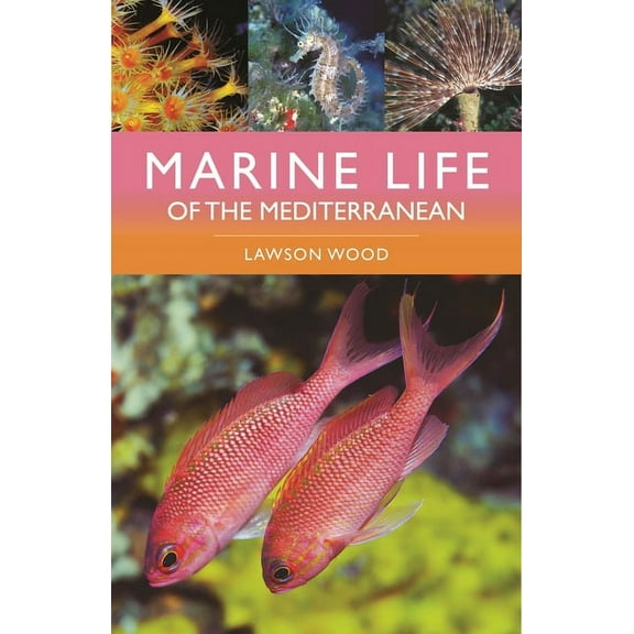 Marine Life of the Mediterranean, (Paperback)