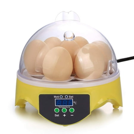 Egg Incubator, Transparent Home Mini Hatching 7 Egg Capacity Incubator Egg Hatcher For Goose Birds Chicken Duck