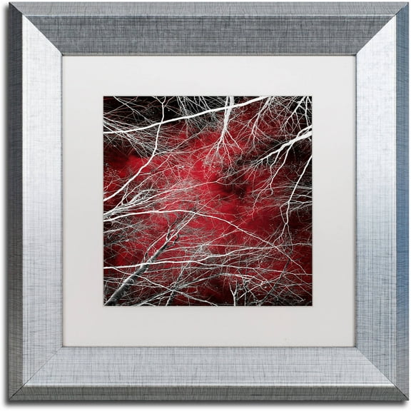 Trademark Fine Art "Fear" Canvas Art by Philippe Sainte-Laudy White Matte, Silver Frame