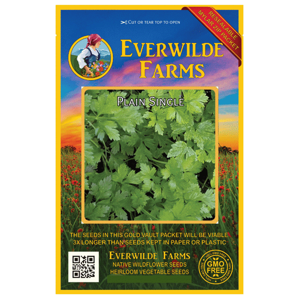 Everwilde Farms 1000 Plain Single Parsley Seeds Gold Vault Jumbo