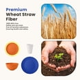 thumbnail image 5 of Homienly 40-Piece Wheat Straw Dinnerware Set, Service for 8, Round Plates, Bowls & Cups, Microwave & Dishwasher Safe, White, 5 of 8