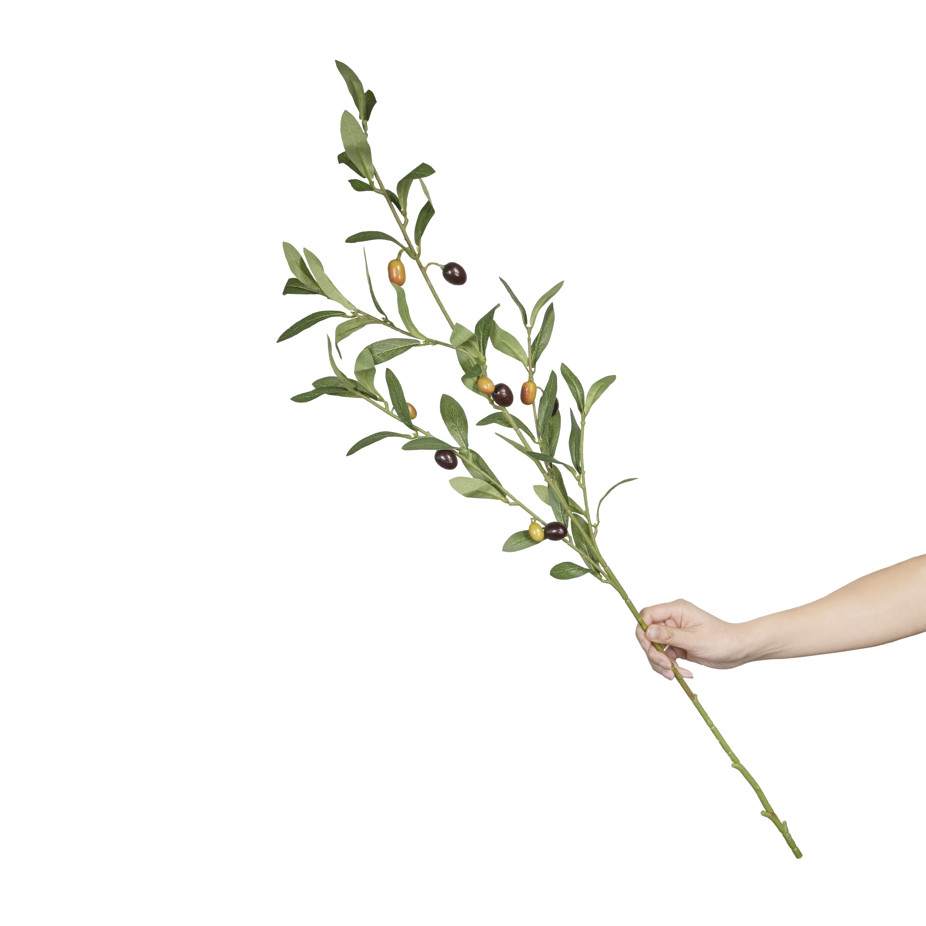 37-inch Artificial Silk Green Olive Long Stem, for Indoor Use, by Mainstays