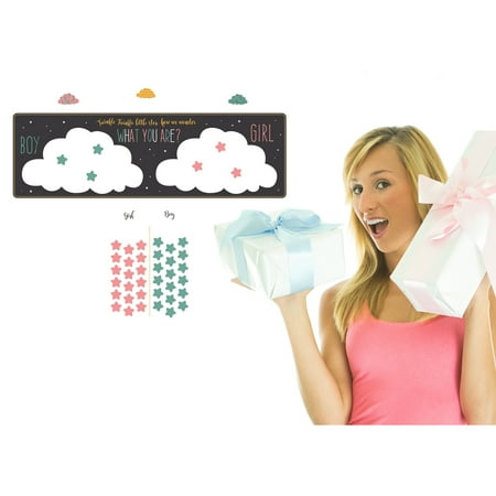Twinkle Little Star Gender Reveal Party Supplies Gender Voting Game