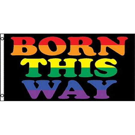 DEYOU Born This Way Flag 3x5 Feet Banner Flag