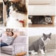 thumbnail image 4 of Cinta de entrenamiento antiarañazos para gatos de 100mm x 30 yardas, almohadilla para muebles de gato, almohadilla de sofá transparente de doble cara para gatos, cinta para patas de gato JAMW Sencillez, 4 of 5
