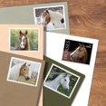 thumbnail image 3 of Sellos postales Caballos del Servicio Postal de los Estados Unidos 2024, 3 of 3