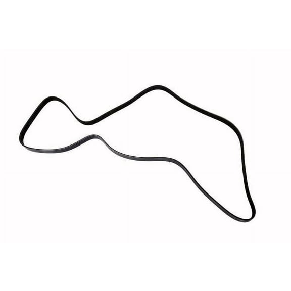 ACDelco Serpentine Belt