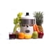 thumbnail image 2 of Extractor De Jugos Starmix Ae-2 Uso Rudo Starmix AE-2, 2 of 3