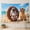 C, variant on XaaKee, Llama Coconut Sip Wall Tapestry, High-Quality Polyester Tapestry For Bedroom, 60x40Inch