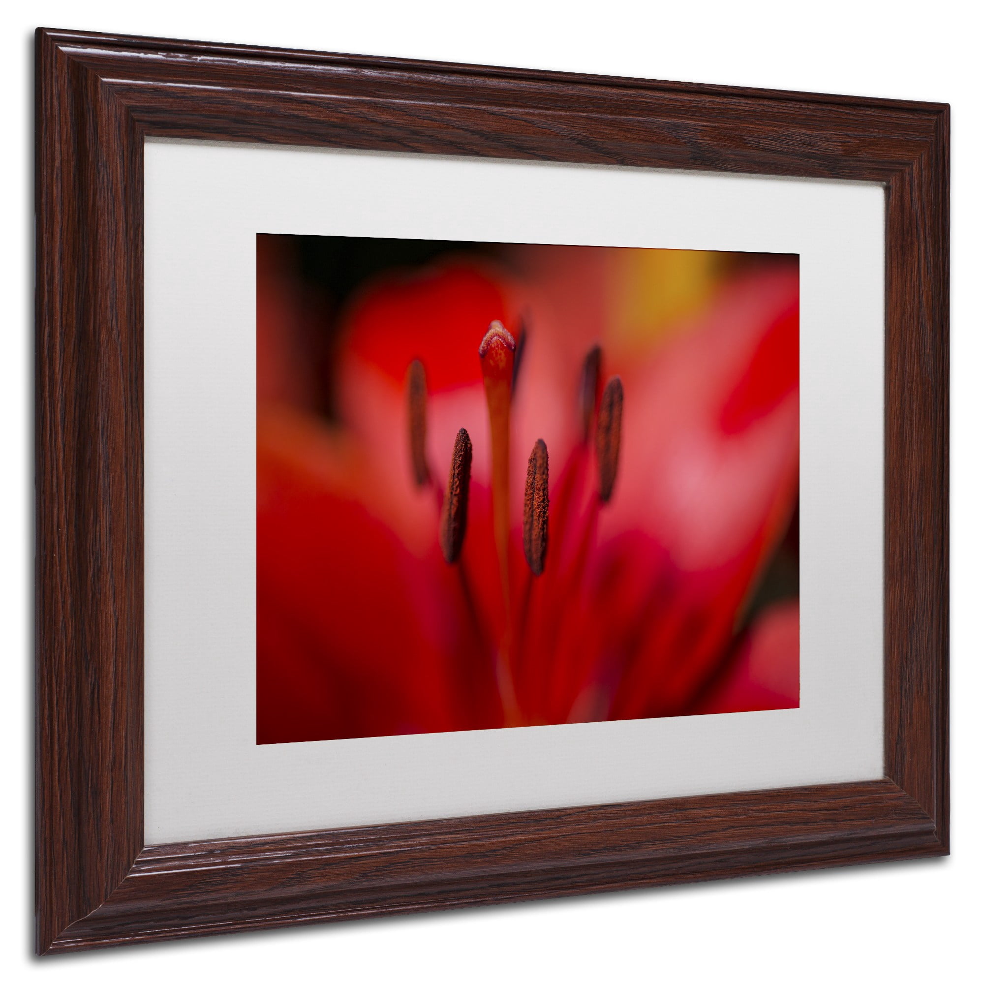 Trademark Fine Art "Red Lily Pistils" Canvas Art by Kurt Shaffer, White Matte, Wood Frame