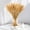 Primary Color, variant on 50 Stems Dried Wheat Stalks - Wheat Straw for Vases 13.3 in