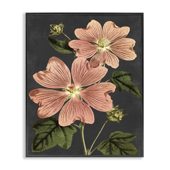 Stupell Industries French Country Botanical Drawing Pink Flower On Black Design Black Framed Giclee Art, 24 x 30, by Lettered and Lined