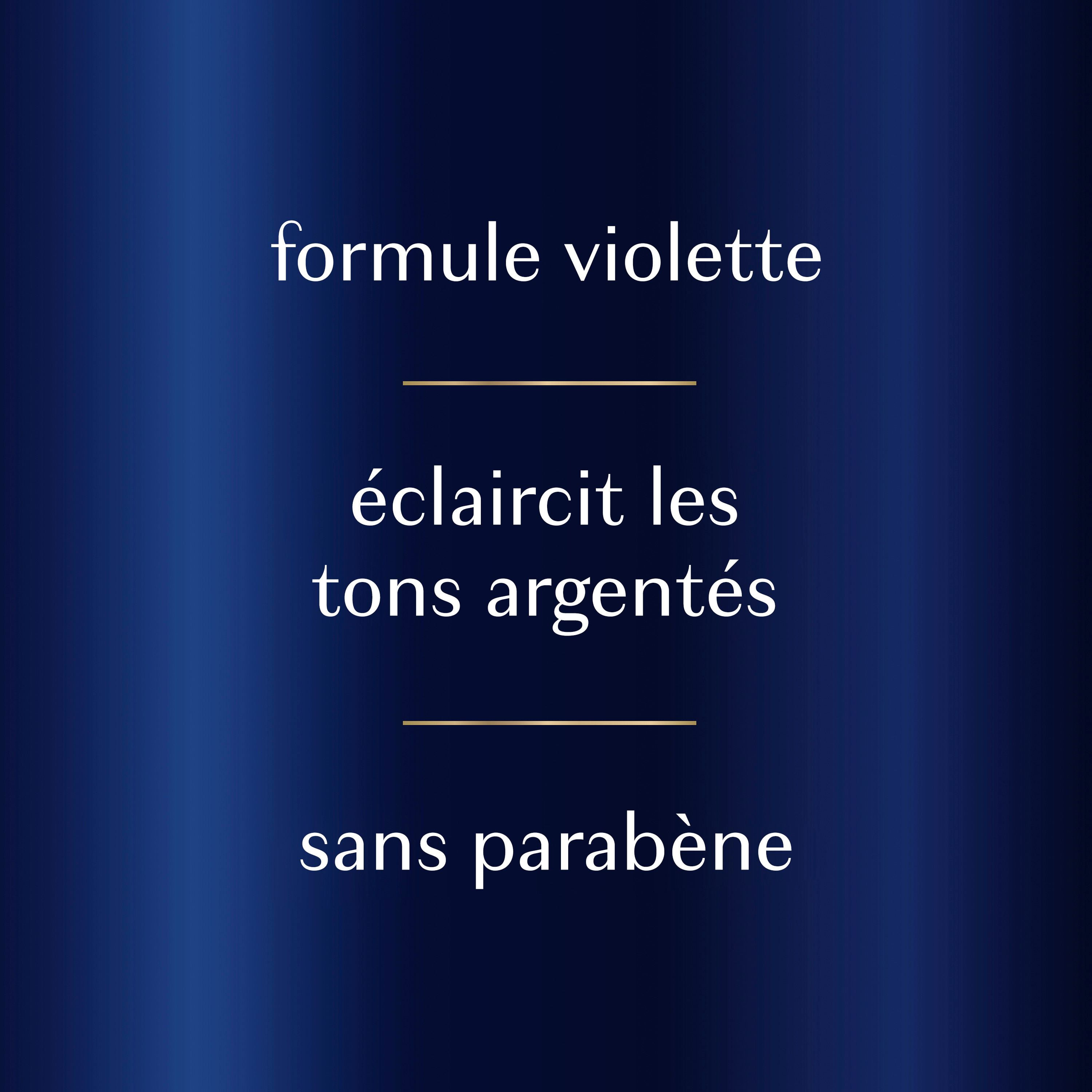 Shampooing violet argenté Hair Biology pour cheveux gris ou blonds colorés avec tons cuivrés, combat les tons cuivrés et ravive 380 ml