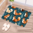 thumbnail image 5 of Squirrel Non-Slip Machine Washable Polyester Kitchen Mat Indoor Rug Kitchen Rug, 5 of 6