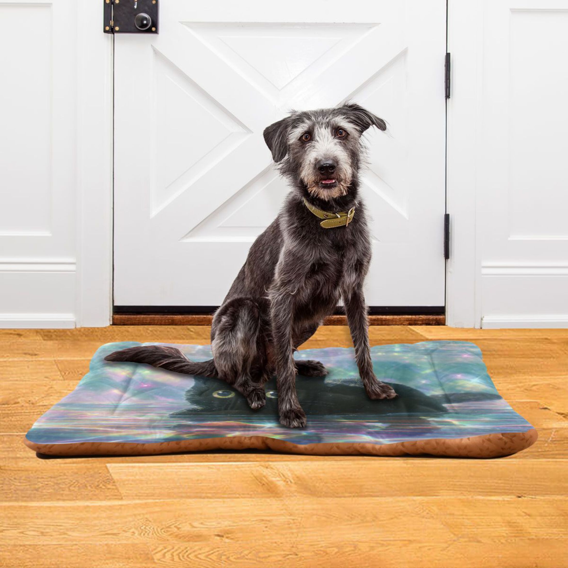 Cozy Mat Pet Bed Indoor Outdoor Warm Soft For Cat Dog Puppy(S/M) Black Cat in The Pool