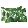 thumbnail image 2 of EnvioHome Queen Size 5 Piece Microfiber Comforter Set for All-Season Comfort | Down Alternative Hotel Bedding Sets, Ultra-Soft Queen Comforter Set with Matching Pillow Shams & Cushion - Rainforest, 2 of 7