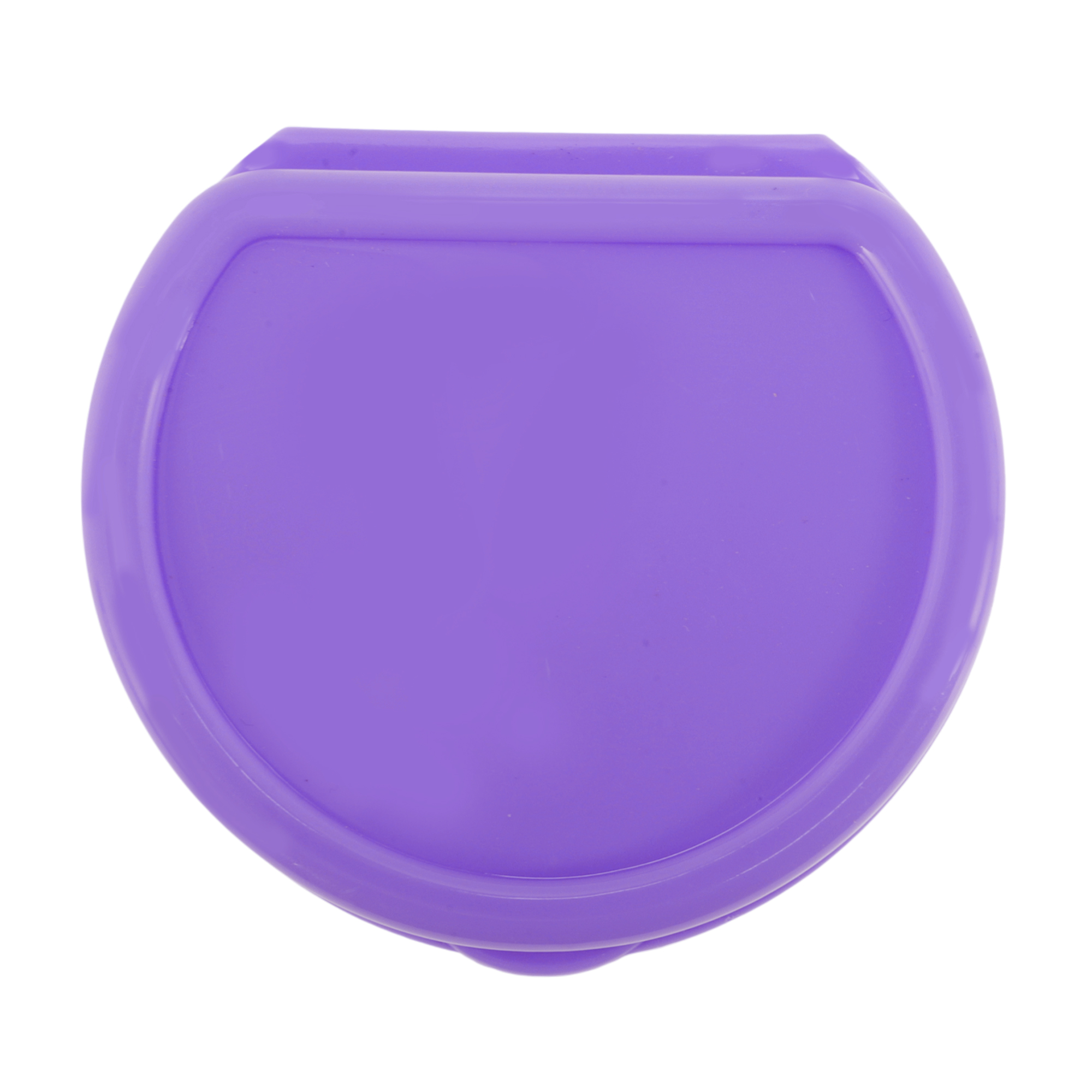 Unique Bargains Reusable Braces Box with Strainer 1 Pc Purple