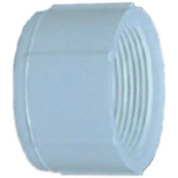 Lasco F01970D 0,75 in. Fip PVC Cap