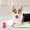 Pink, variant on TPR Bone Dog Chew Toys, Indestructible Teething Toy for Aggressive Chewers, Dental Cleaning Toy for Medium & Large Dogs