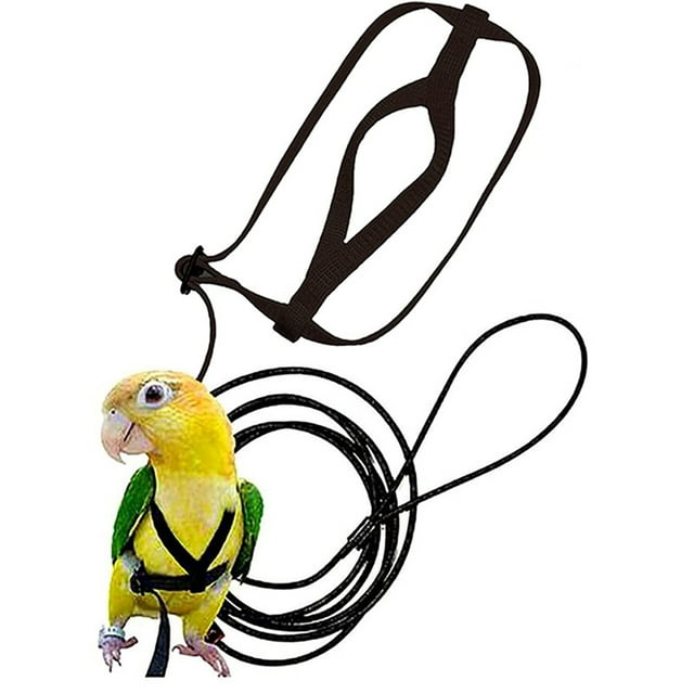Methold Arnés y correa para loros hechos de nailon M, regalo para volar fácilmente, arnés y correa para pájaros y loros para mascotas Aseo de mascotas