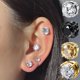thumbnail image 3 of Clips magnéticos para las orejas para hombres y mujeres, piedra de cristal blanco, Perno magnético fuerte, pendientes magnéticos de circón Punk, joyería sin perforación, 2 piezas, 3 of 4