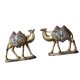 thumbnail image 5 of 2 piezas de estatua de camello, escultura animal, decoración de lujo, divertidas manualidades decorativas Oro, 5 of 9