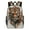 HuWng-1, variant on Majestic Tiger Desert Sand Stroll Teenage Backpack Middle Students Bookbag Outdoor Daypack