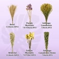 thumbnail image 2 of Ropa de cama para hámster Habitat Decor Sukh, 42 unidades, hierbas con flores naturales, 2 of 7