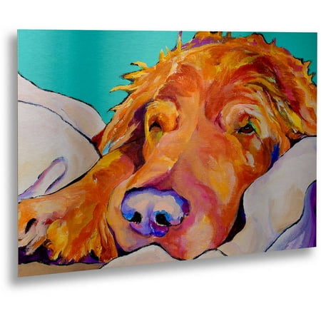 Trademark Fine Art "Snoozer King" Canvas Art by Pat Saunders-White, Floating Brushed Aluminum 16x22