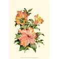 thumbnail image 2 of Waldman, Joy 14x18 White Modern Wood Framed Museum Art Print Titled - Hibiscus I, 2 of 4