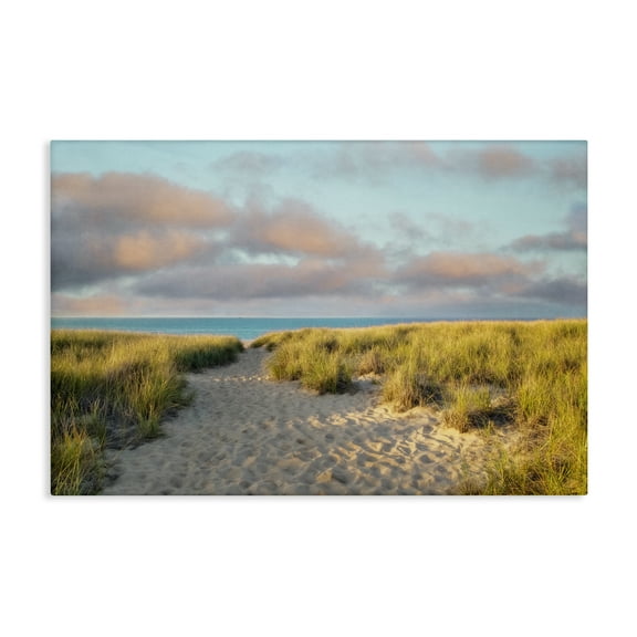 Stupell Industries Beachy Footprints Path Landscape & Nature Photography Wrapped Canvas Art Print Wall Art, 24 x 16