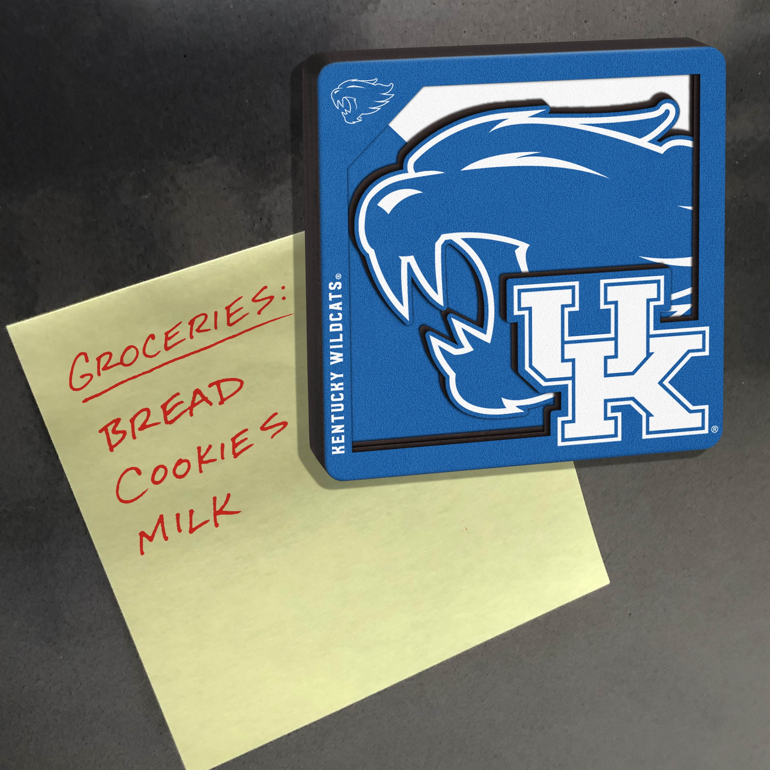 YouTheFan NCAA Kentucky Wildcats 3D Logo Series Magnet