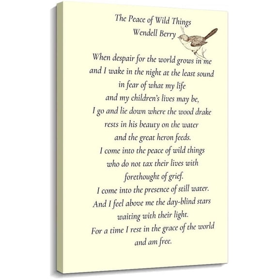 The Peace of Wild Things Poem Wall Art  Posters