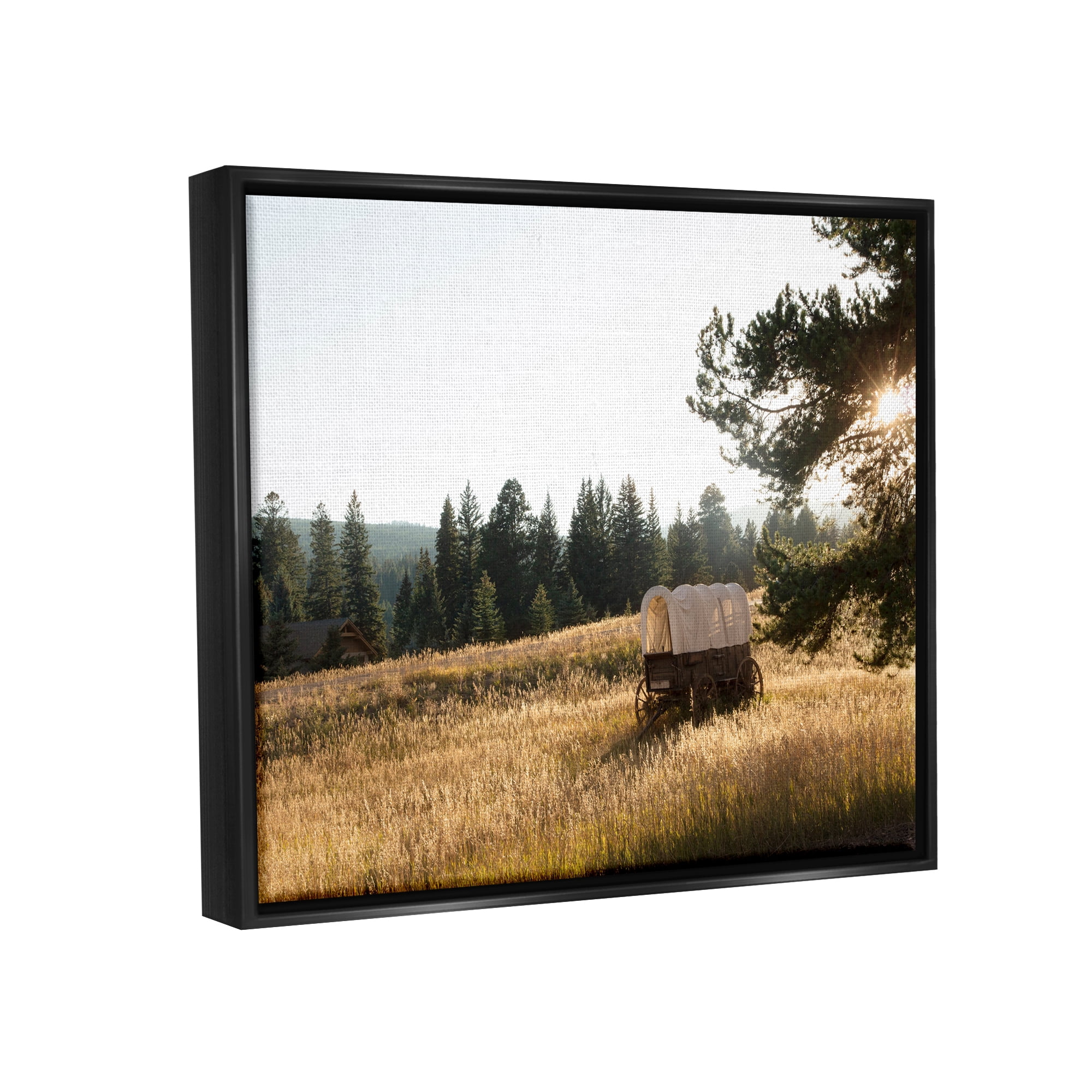 Stupell Times Past Rural Country Carriage Landscape Photography Black Floater Framed Art Print Wall Art