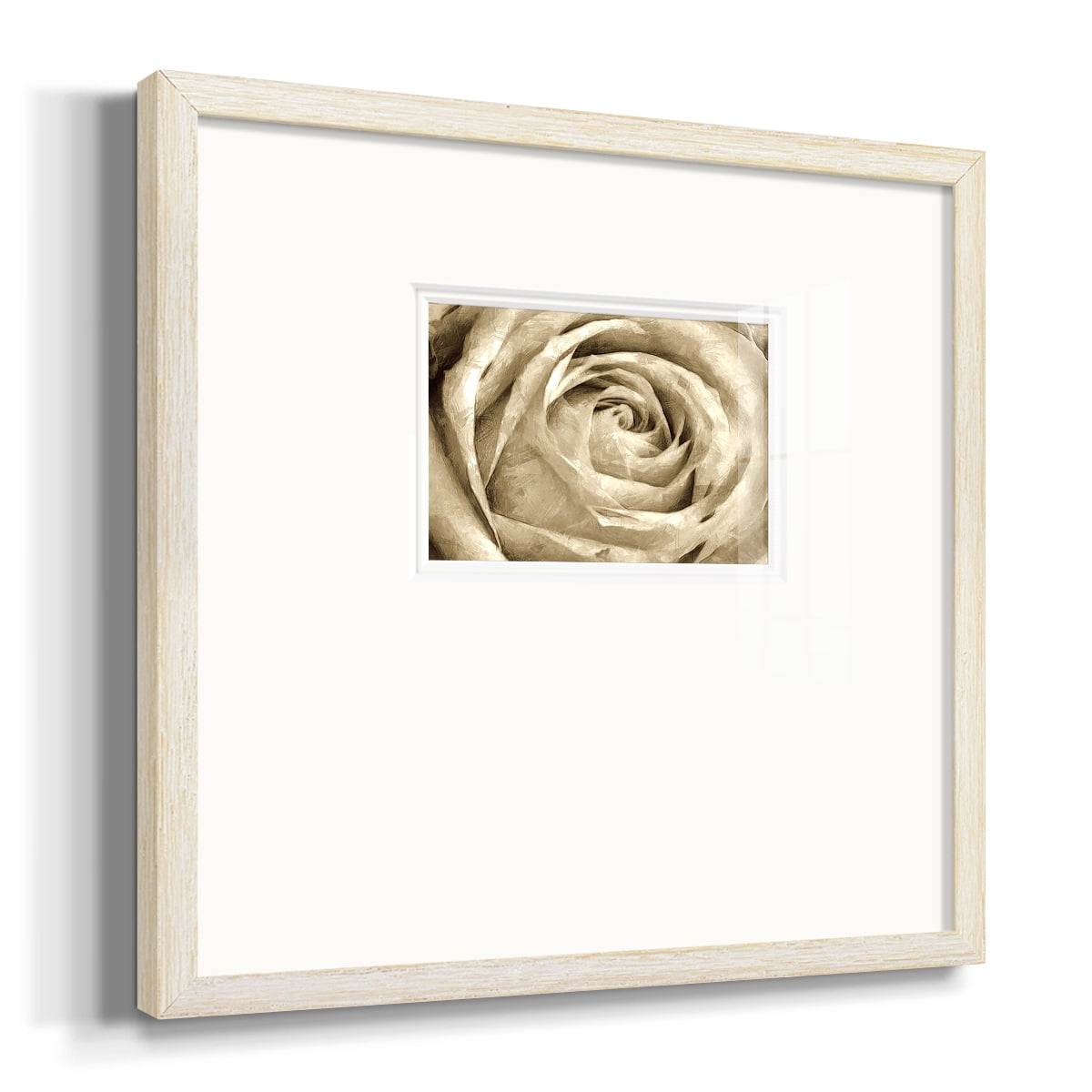 Neutral Wall Flower IVPremium Framed Print