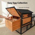 thumbnail image 6 of Outdoor Large 114'' Wooden Chicken Coop Hen House Poultry Cage Nest Box Pet Hutch Garden,Waterproof Anti-UV Panel for Backyard, 6 of 6