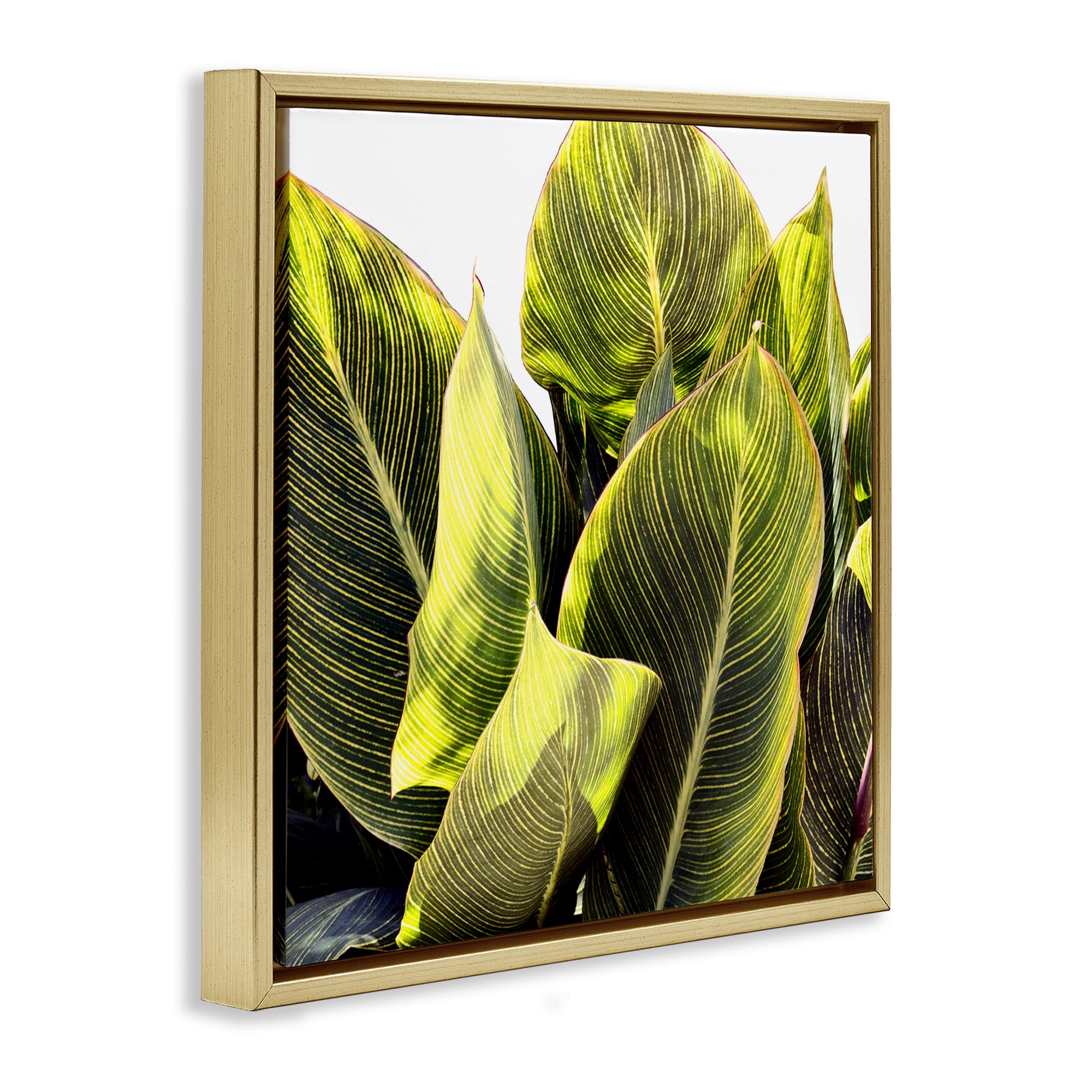 Stupell Industries Bright Tropical Leaves Botanical & Floral Painting Gold Floater Framed Art Print Wall Art, 18 x 18