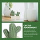 thumbnail image 5 of 2 Adornos de porcelana de conejito, estatua de porcelana de cactus, decoración de cactus simulado, 5 of 8